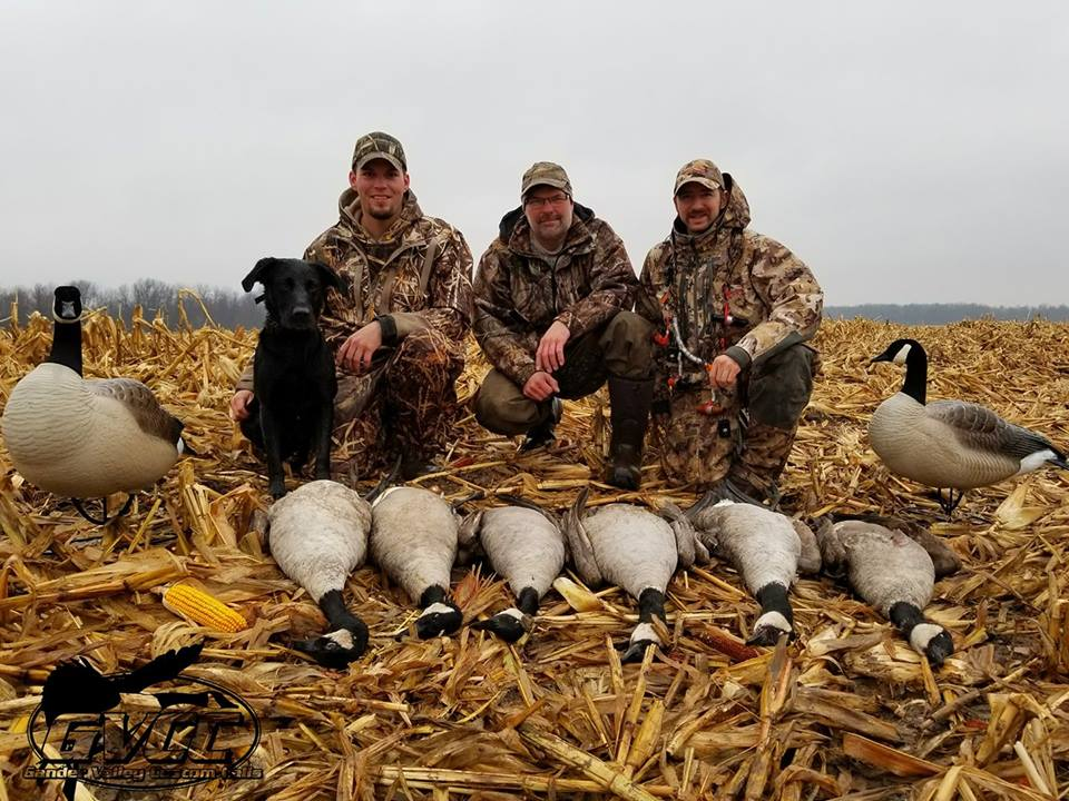 How To Call In Geese During Early Goose Season